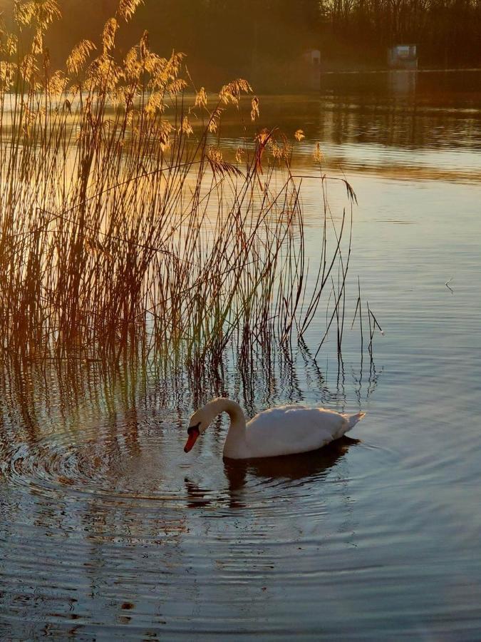 Tramonto Al Lago Gavirate Exterior photo